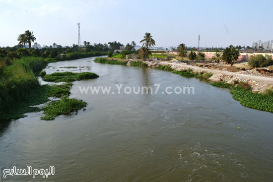  مصرف المحسمة -اليوم السابع -6 -2015